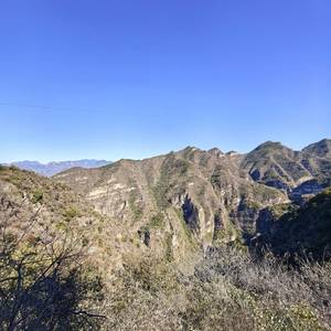 李先生