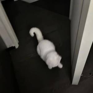 用户1027