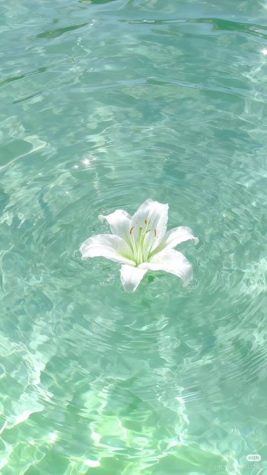 彗星