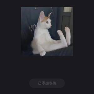 水果