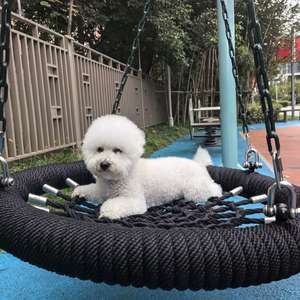 钢铁侠