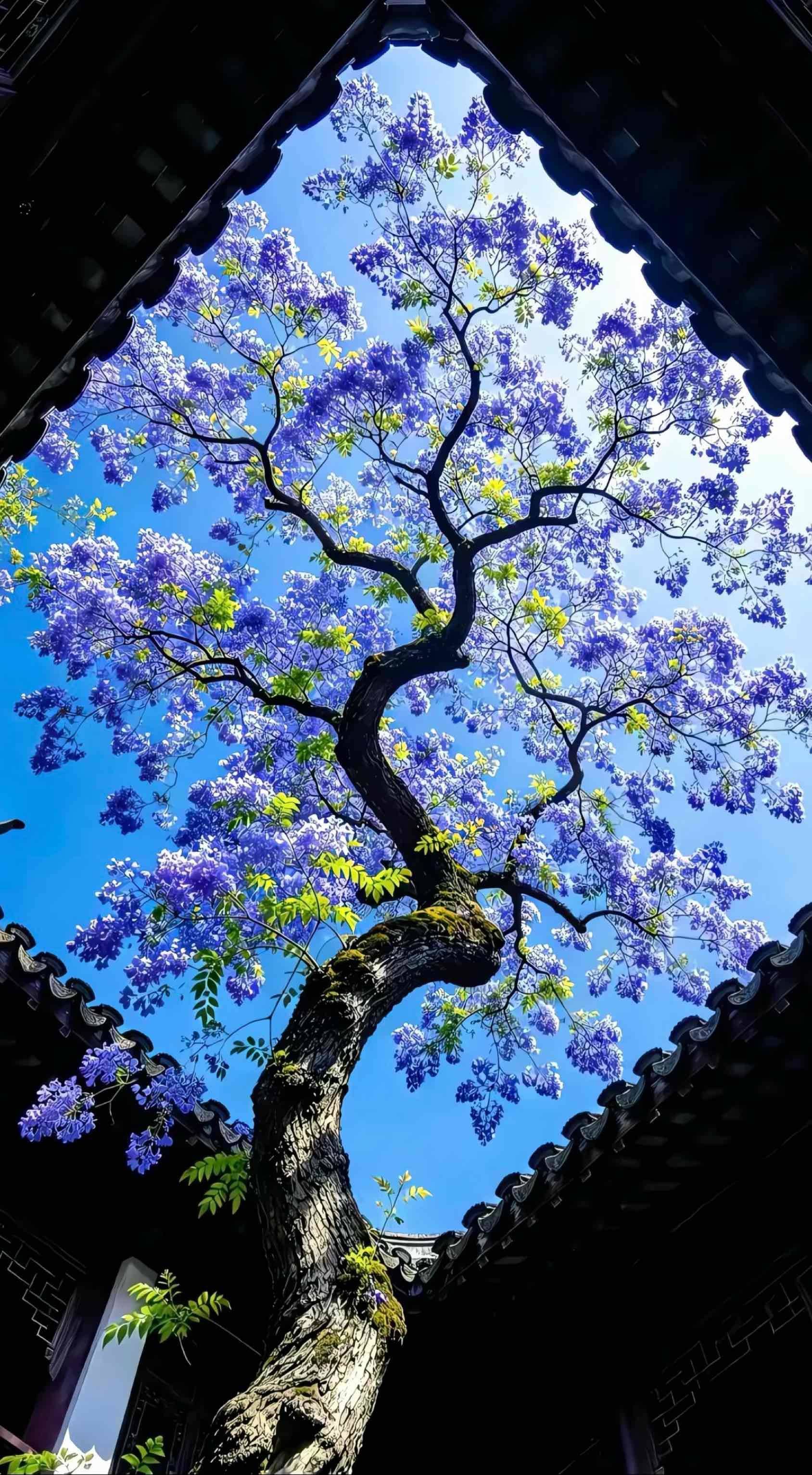 文静