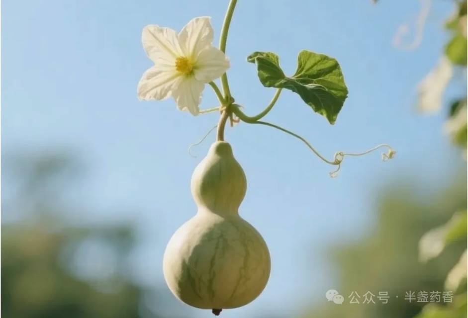 阳光点点头