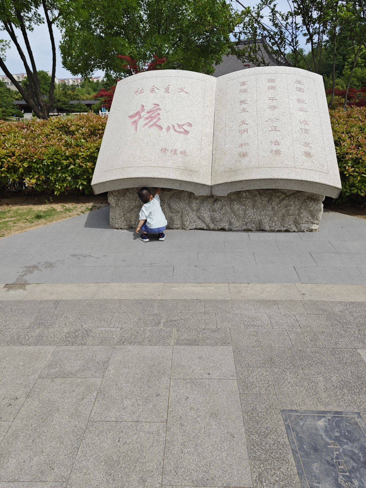 杨机智°