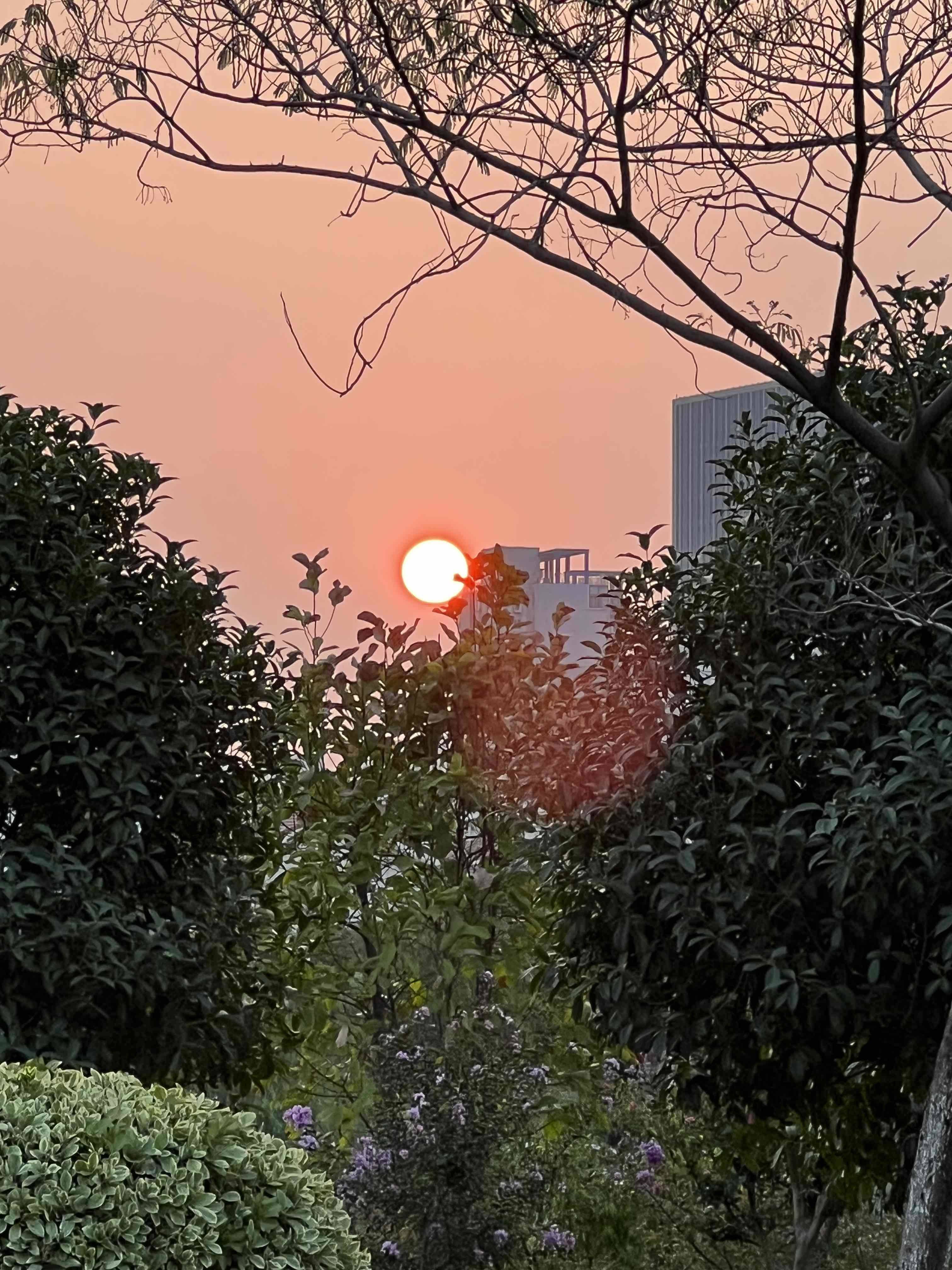 诚意