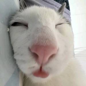 Tom