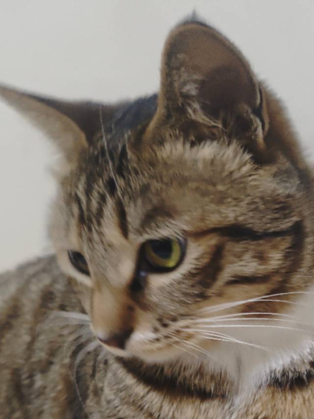 你有事吗คิดถึง