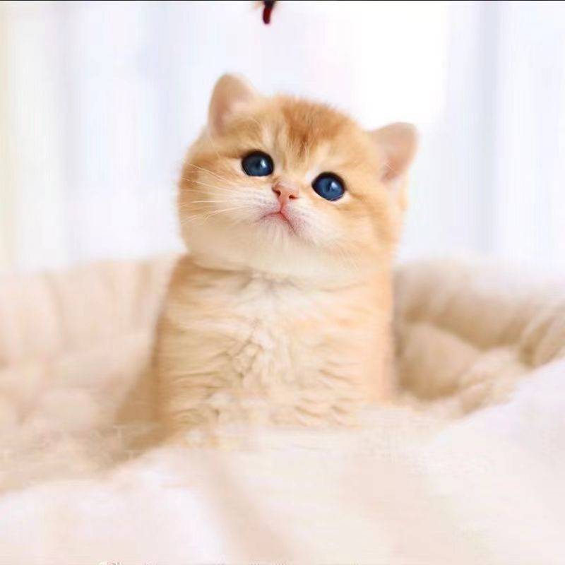 太阳