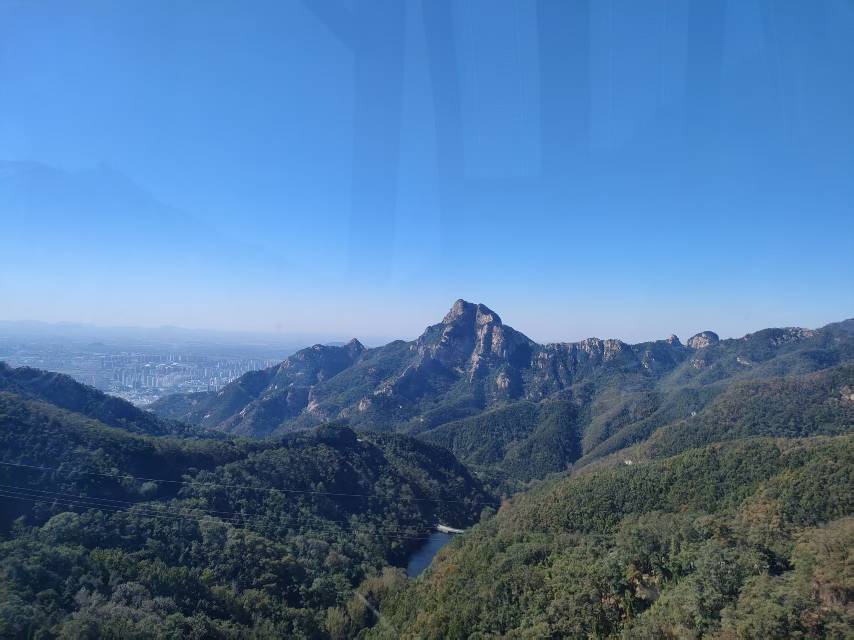 诚心租房的申姐