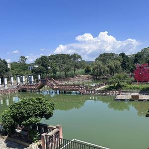 美丽人生