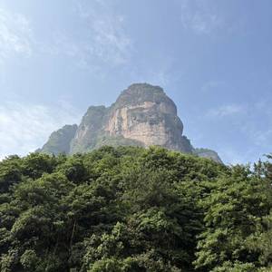新港新人