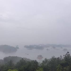 梨头4袋