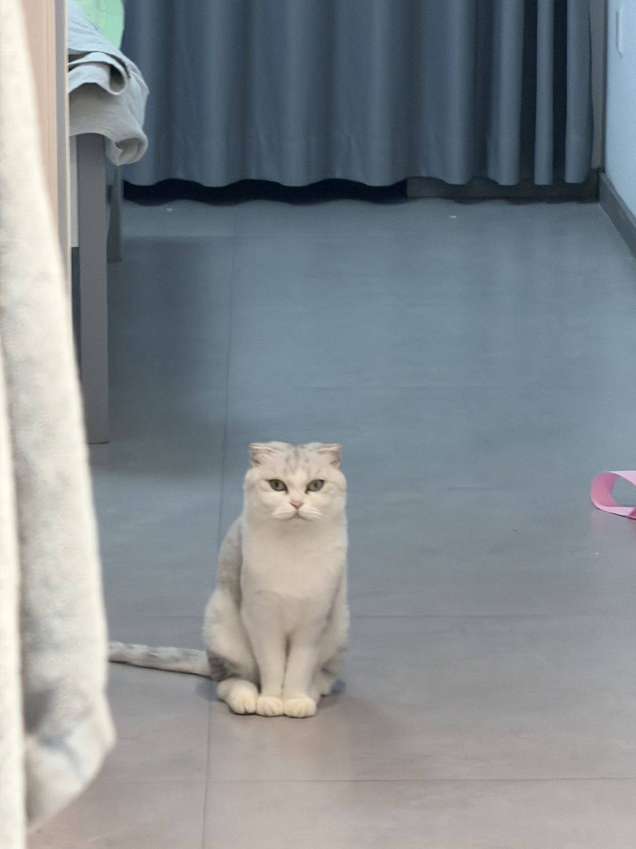 着急转租