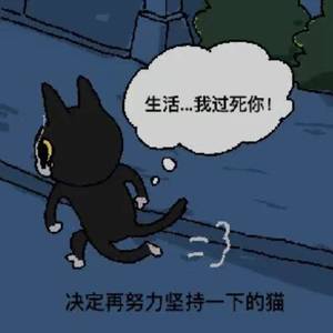 蓝莓果酱