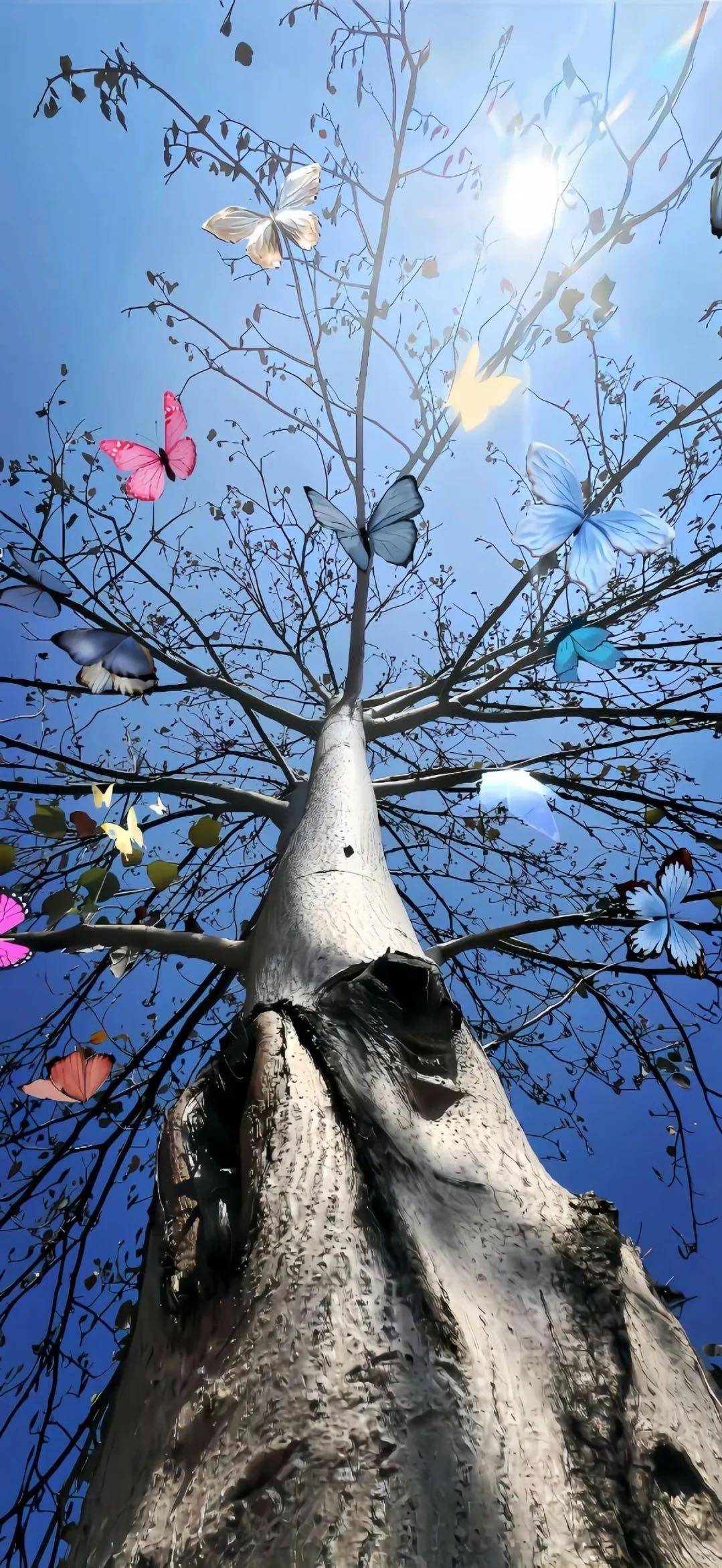 - ᴀ ᴍ ᴀ ᴢ ɪ ɴ ɢ -