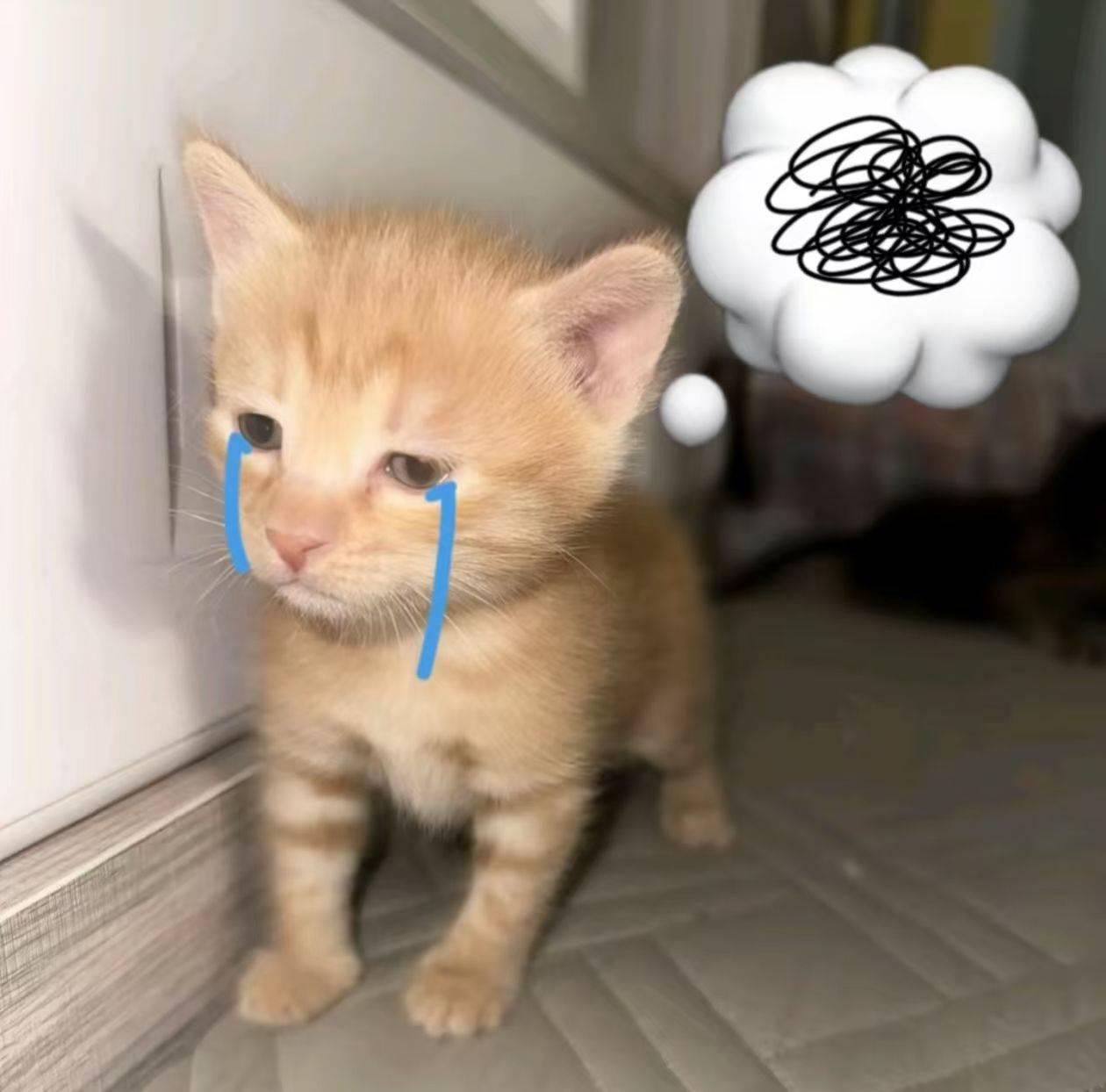 欧咪咪