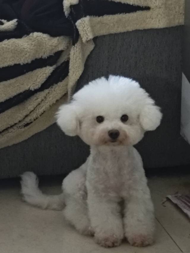 左
