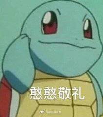 科科科🌊