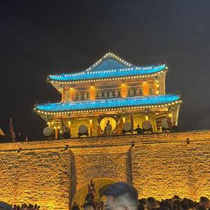 杨杨