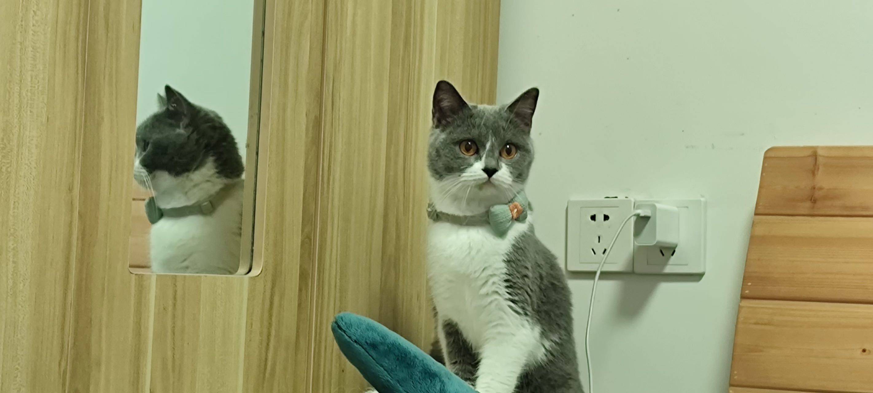 小徐