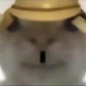 沉默寡言的人儿