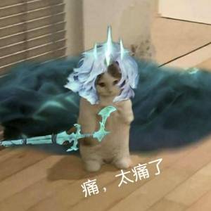 喵喵喵