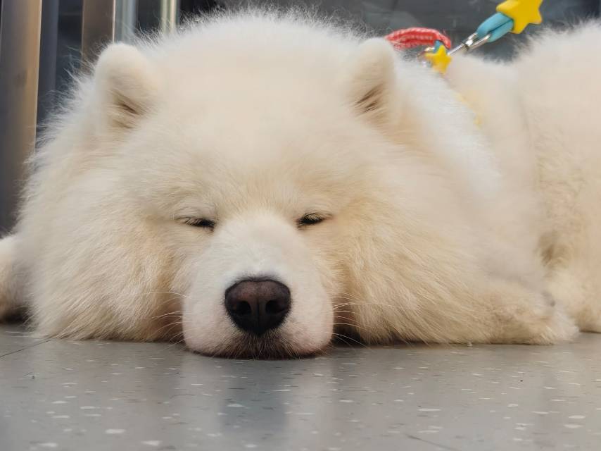 Andy劉油
