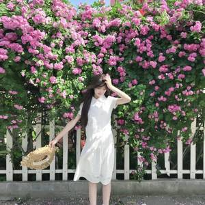 李萱