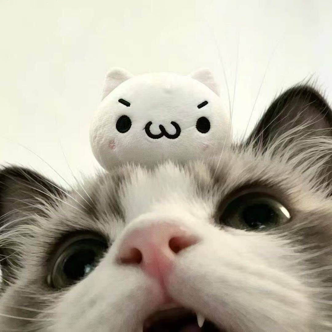 红油