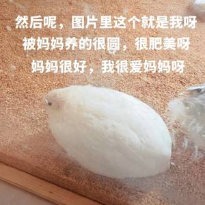 小星云