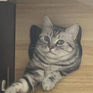 _Sabrina_TS
